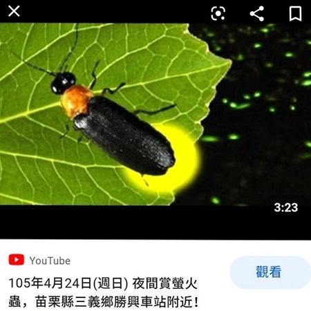 Miaoli Sanyi Bo Wu Guan Homestay 외부 사진