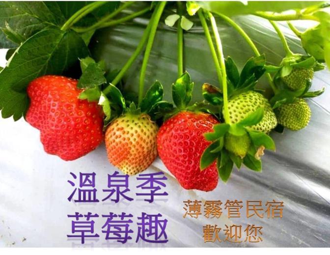 Miaoli Sanyi Bo Wu Guan Homestay 외부 사진