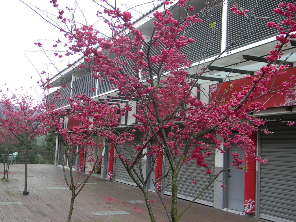 Miaoli Sanyi Bo Wu Guan Homestay 외부 사진